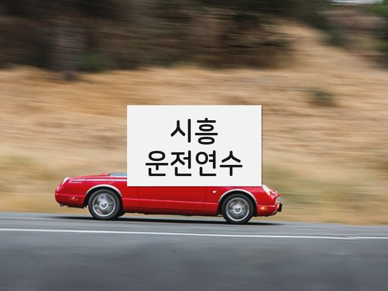 시흥운전연수 후기