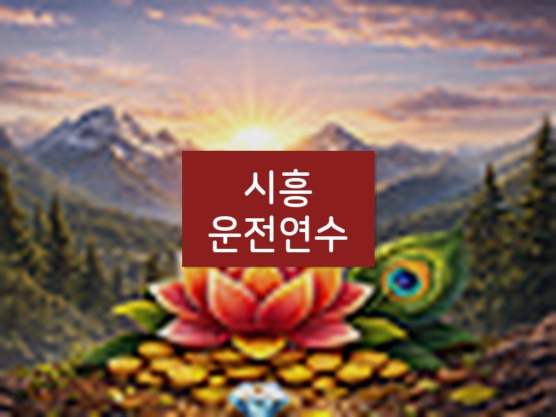 시흥운전연수 후기