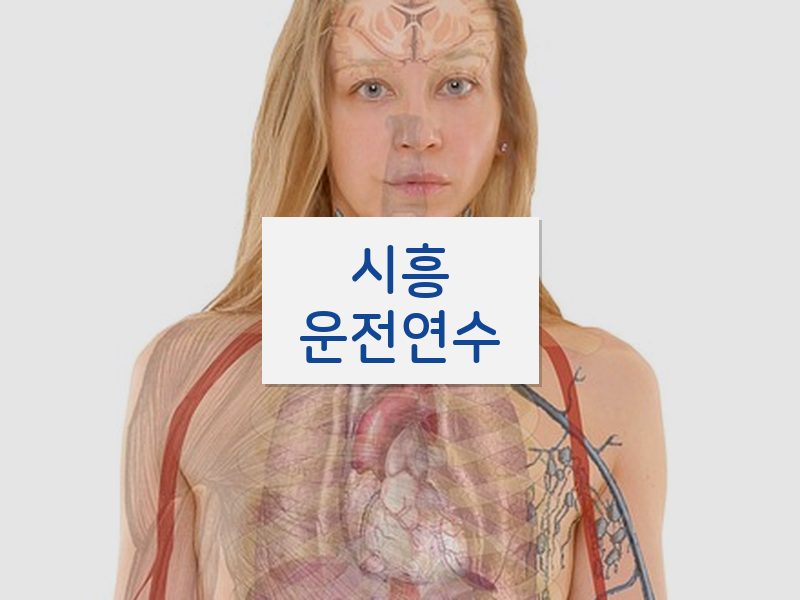 시흥운전연수 후기
