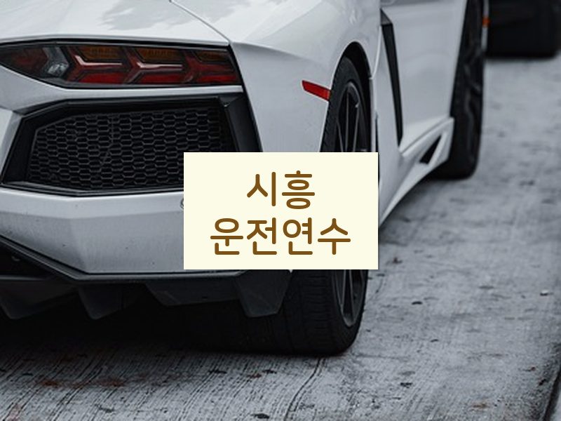 시흥운전연수 후기
