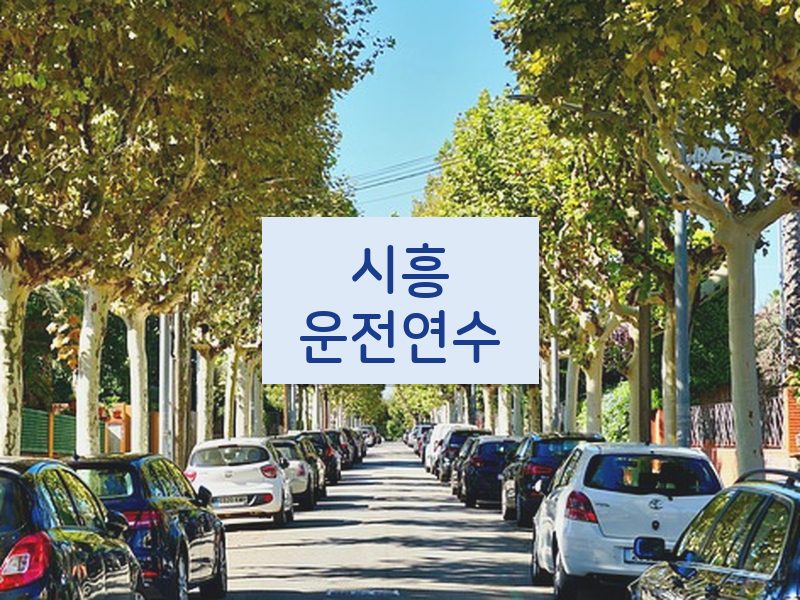 시흥운전연수 후기