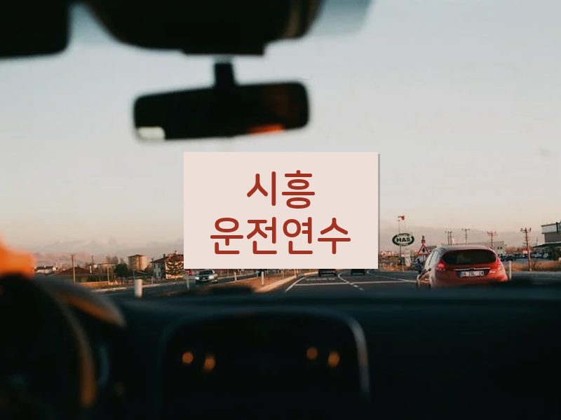 시흥운전연수 후기