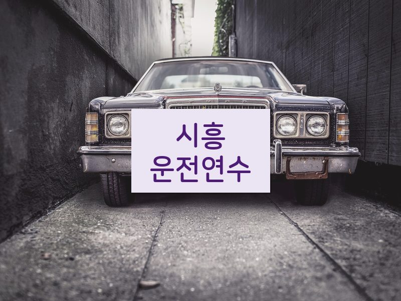 시흥운전연수 후기