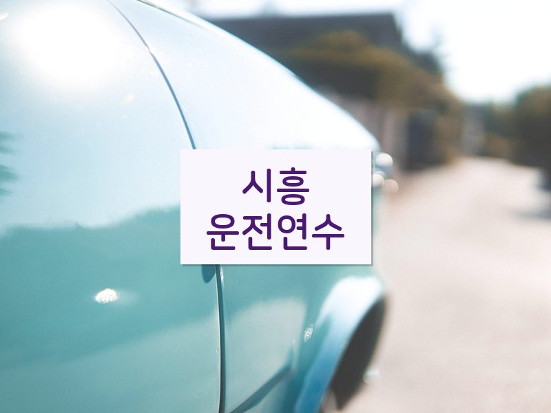 시흥운전연수 후기