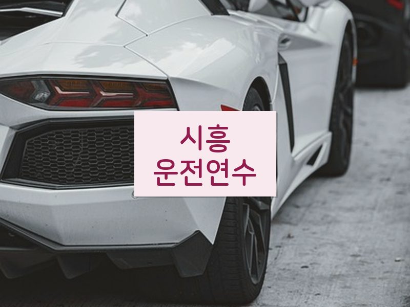 시흥운전연수 후기