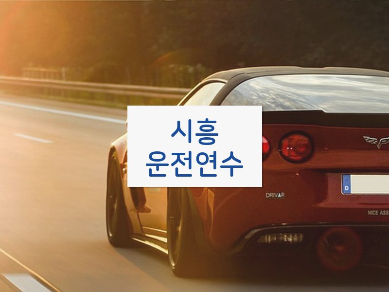 시흥운전연수 후기