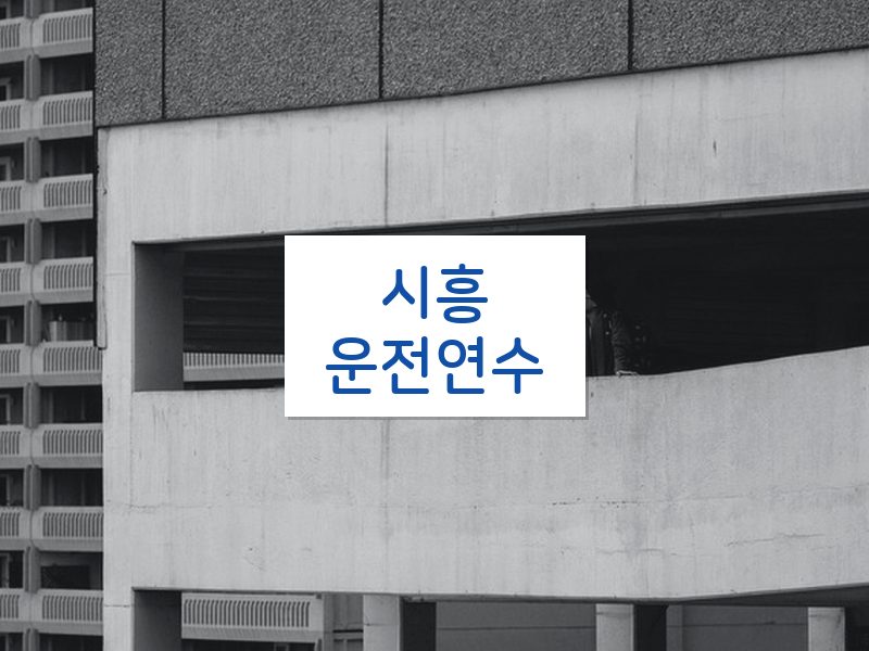 시흥운전연수 후기