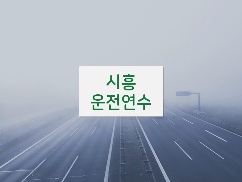 시흥운전연수 후기