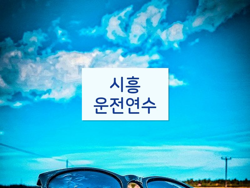 시흥운전연수 후기