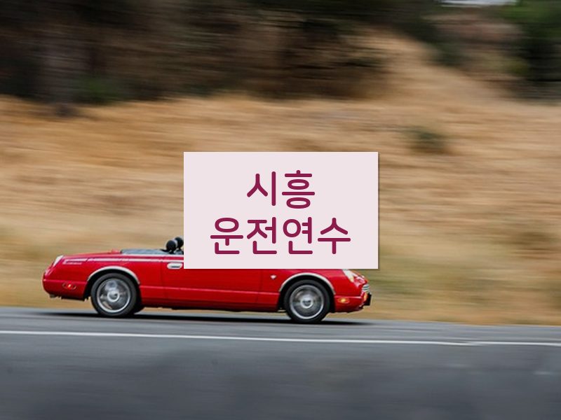 시흥운전연수 후기