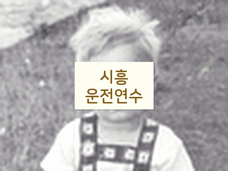 시흥운전연수 후기