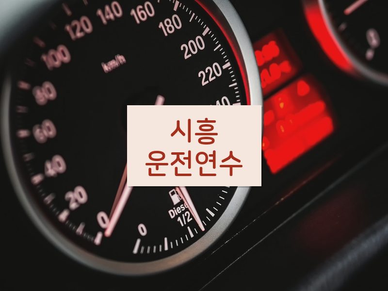 시흥운전연수 후기
