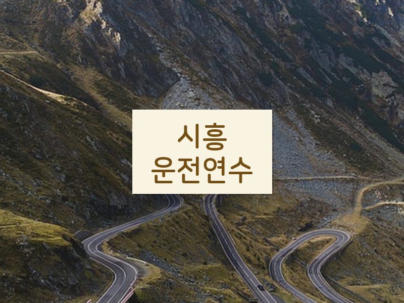 시흥운전연수 후기