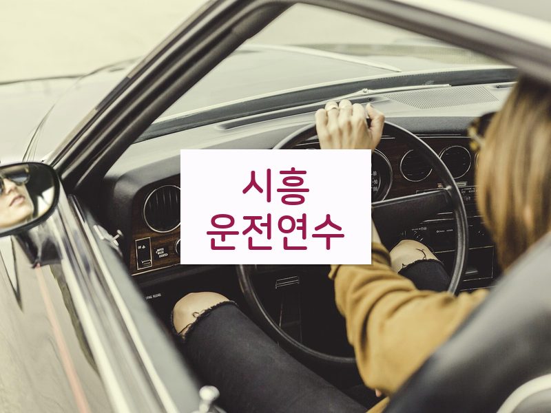 시흥운전연수 후기