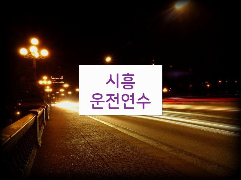 시흥운전연수 후기