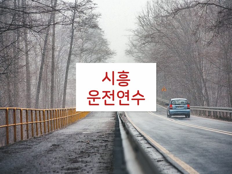 시흥운전연수 후기