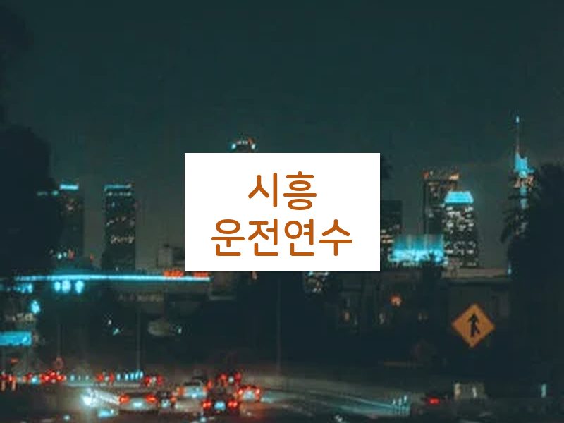 시흥운전연수 후기