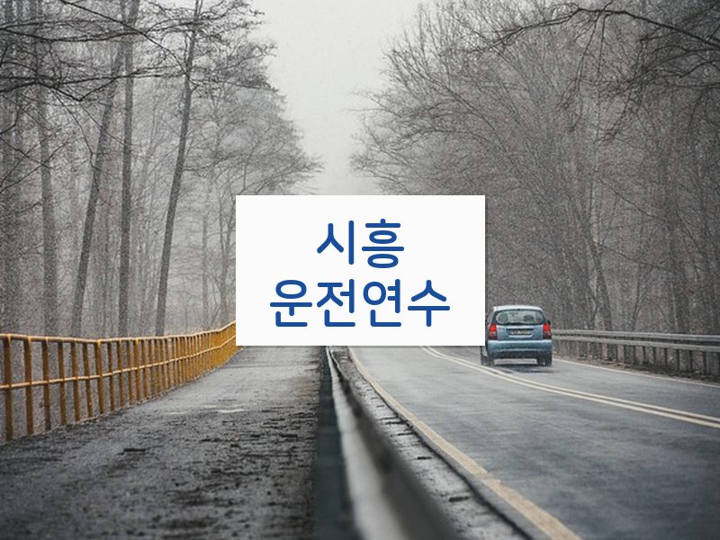 시흥운전연수 후기