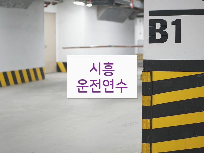 시흥운전연수 후기