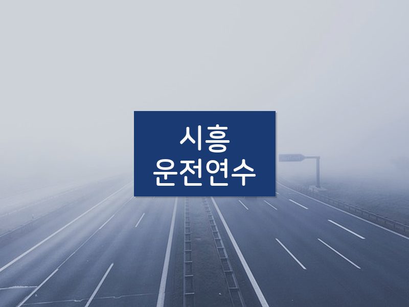 시흥운전연수 후기