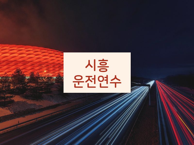 시흥운전연수 후기