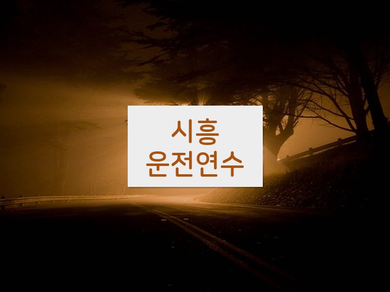 시흥운전연수 후기