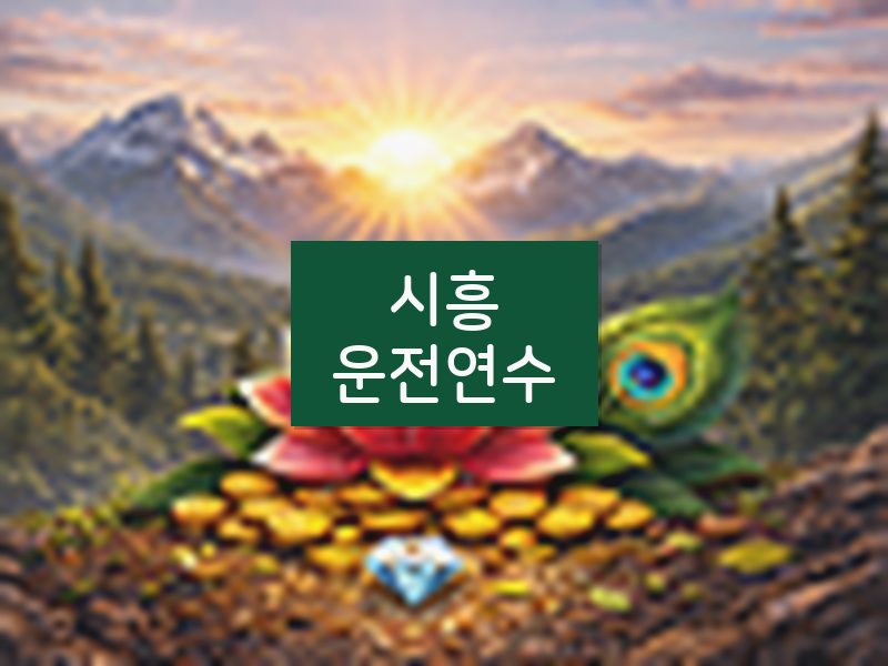 시흥운전연수 후기