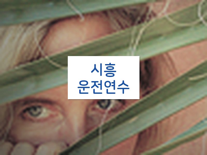 시흥운전연수 후기