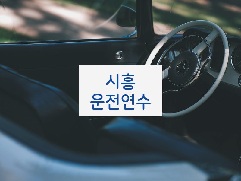 시흥운전연수 후기