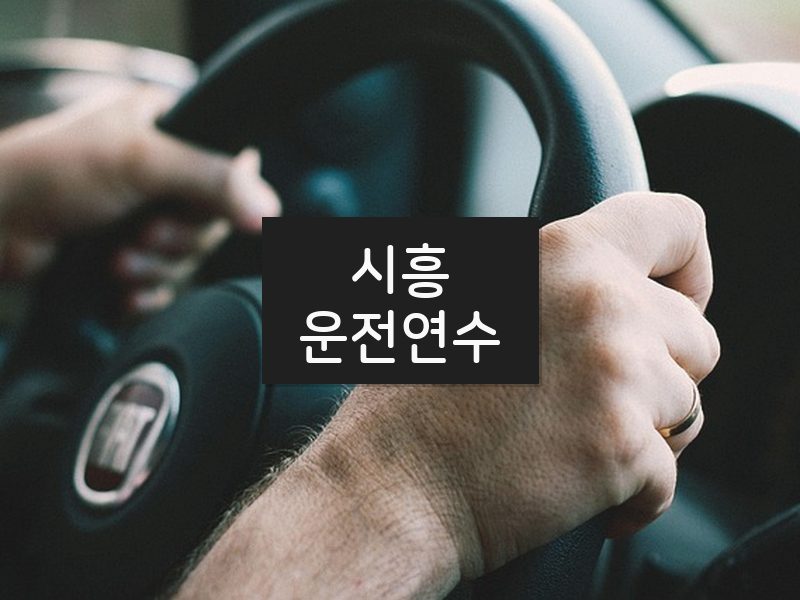 시흥운전연수 후기