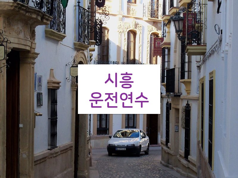 시흥운전연수 후기