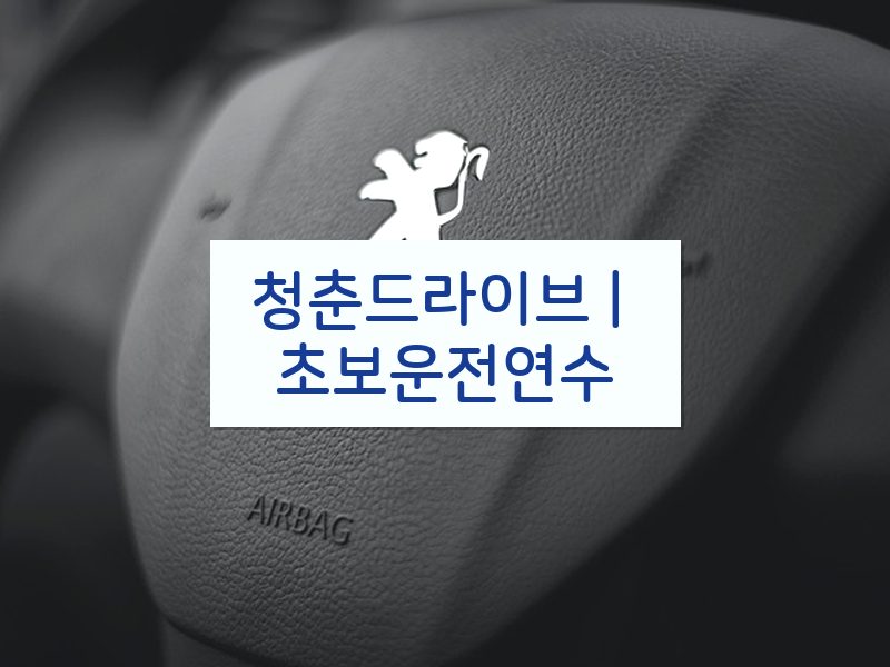 청춘드라이브 | 초보운전연수 후기