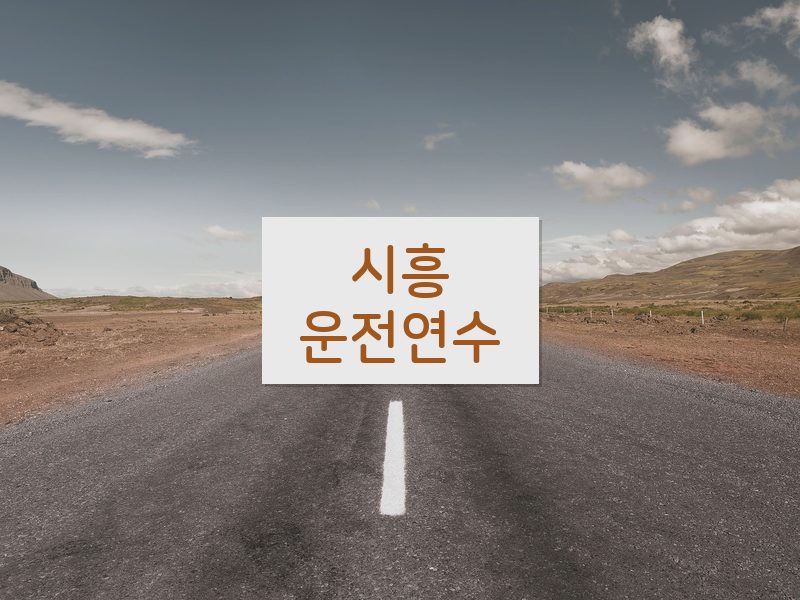시흥운전연수 후기