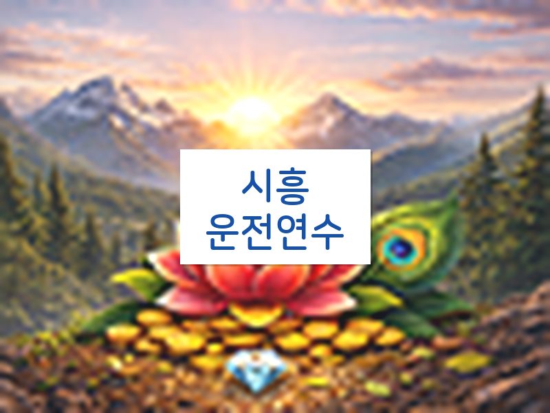 시흥운전연수 후기