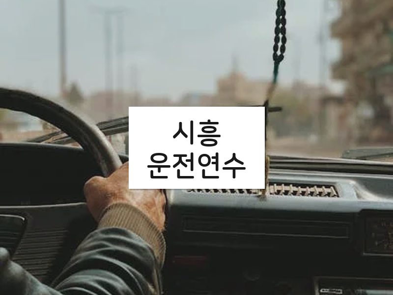 시흥운전연수 후기