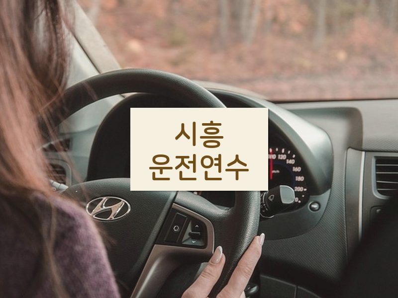 시흥운전연수 후기