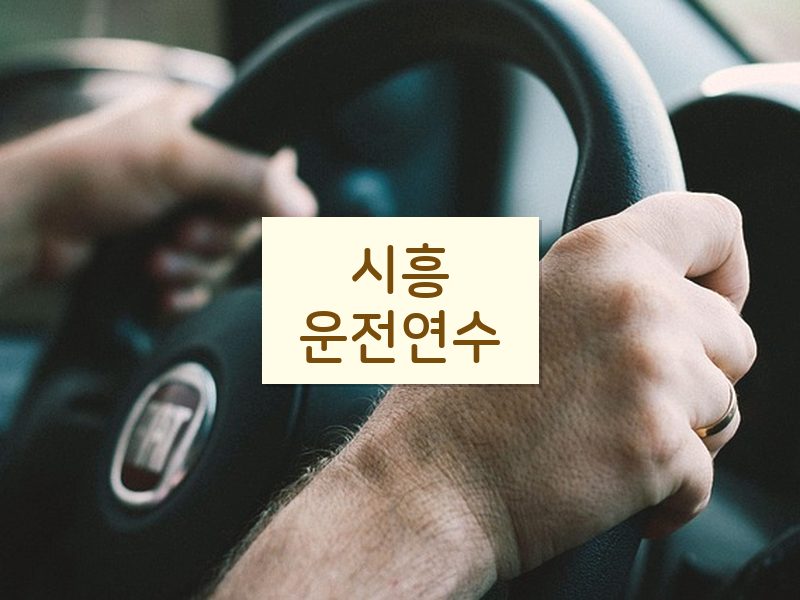 시흥운전연수 후기