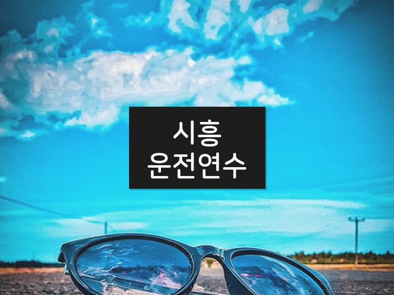 시흥운전연수 후기