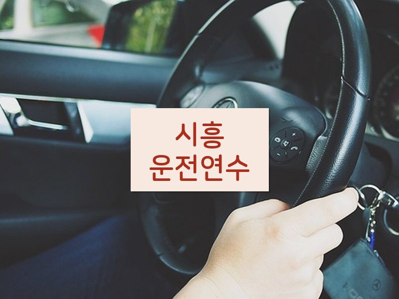 시흥운전연수 후기