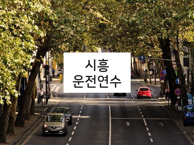 시흥운전연수 후기