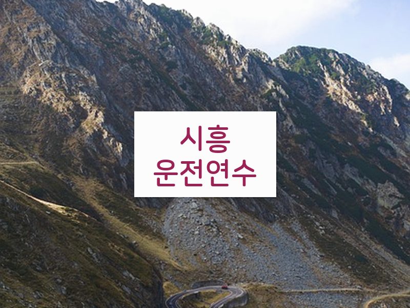시흥운전연수 후기