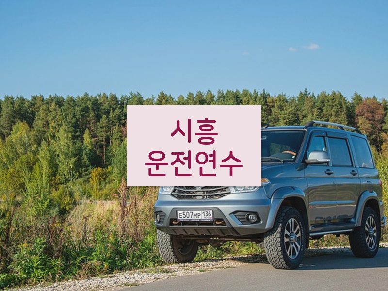 시흥운전연수 후기