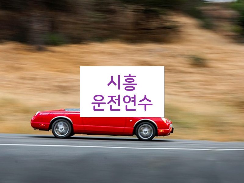 시흥운전연수 후기