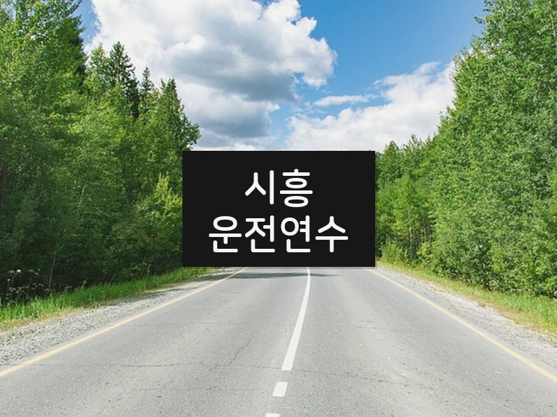시흥운전연수 후기