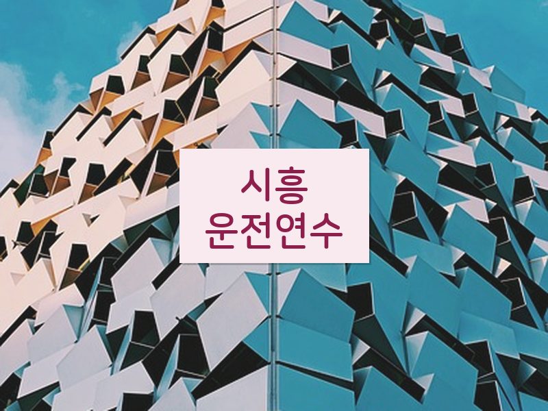 시흥운전연수 후기