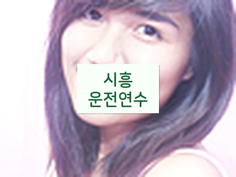 시흥운전연수 후기