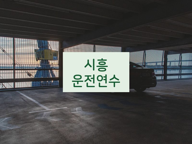 시흥운전연수 후기