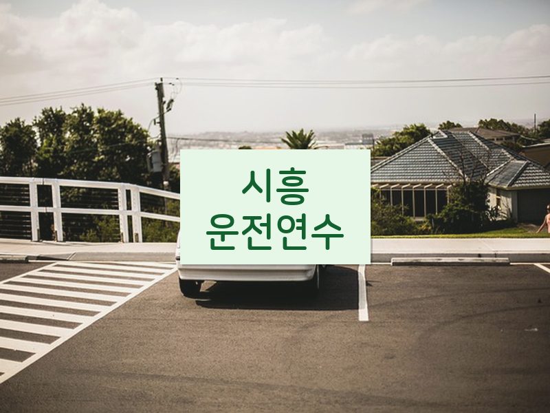 시흥운전연수 후기
