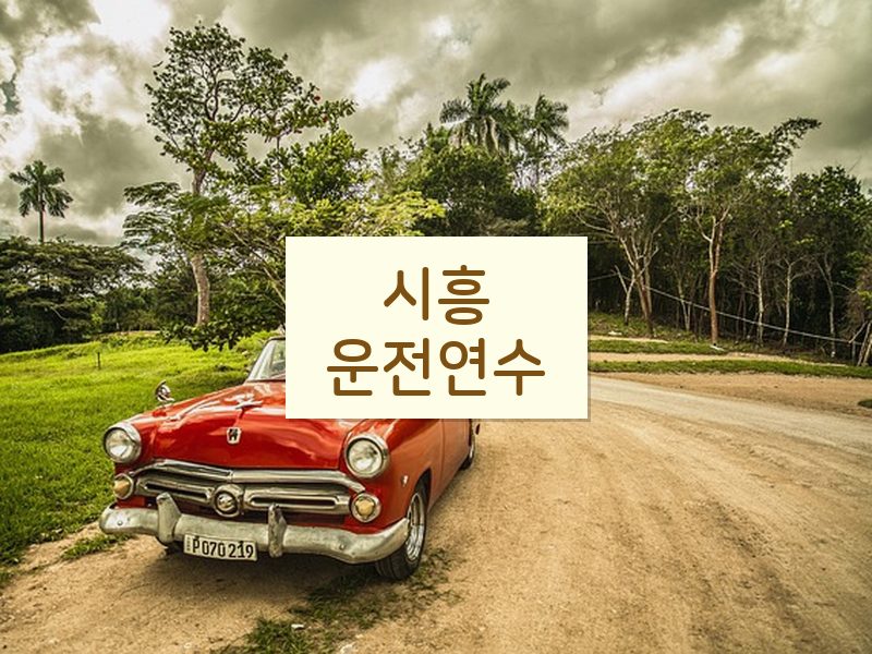 시흥운전연수 후기