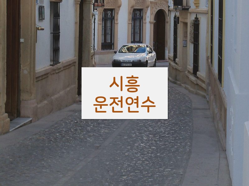 시흥운전연수 후기